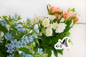 投入れ（参考）