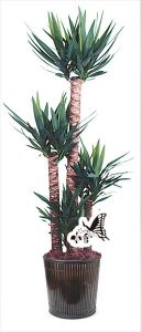 観葉植物　約110cm×約40cm（参考）