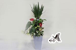 観葉植物　約140cm×約55cm（高陶器）